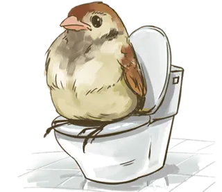 😒 c358febb oiseau, moineau, toilettes, salle de bain, humour, mignon telegram sticker