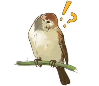 ❓ d3eb4c79 oiseau, moineau, animal, nature, question, réflexion telegram sticker