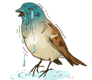 😭 dcee484d oiseau, pleurant, triste, larmes, animal, illustration, émotionnel telegram sticker