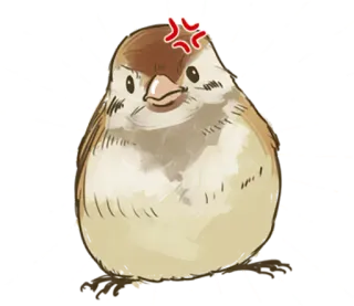 😠 e7fbed7a oiseau, en colère, mignon, animal, dessin animé telegram sticker
