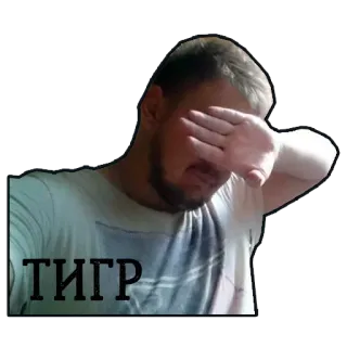 🐯 38fbd4e5 ТИГР 남자, facepalm, 러시아어, 텍스트, 호랑이 telegram sticker