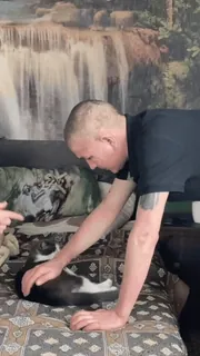 🐱 3efe5701 telegram sticker