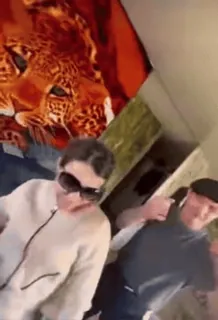 🕺 401737e6 telegram sticker