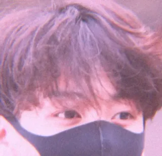 🧸 8327a252 telegram sticker