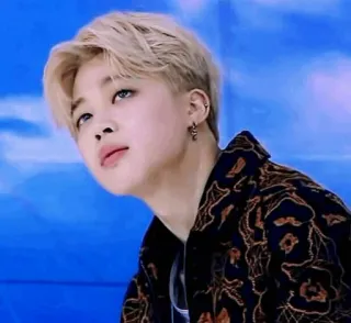 ✨ 00d45292 Jimin K-pop, ca sĩ, chân dung, nam, thần tượng, Jimin, BTS telegram sticker