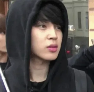 ✨ 89262154 Jimin kpop, thần tượng, jimin, bts, châu á, đàn ông, áo hoodie telegram sticker