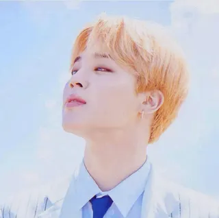 🍃 962de02c Jimin Jimin, BTS, K-pop, Ca sĩ, Thần tượng, Âm nhạc, Châu Á, Nam telegram sticker