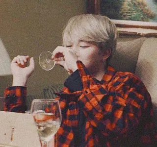 💎 d6a4e8e0 vin, boire, personne, intérieur, alcool, chemise à carreaux telegram sticker