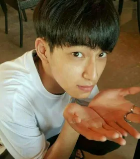 🐚 63a5aa03 whatsapp sticker