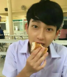 🐚 a1fae627 whatsapp sticker