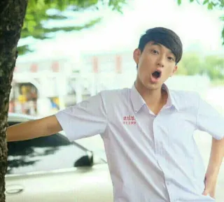 🐚 fd45bd22 whatsapp sticker