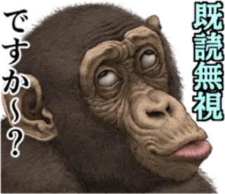 🐵 0e9c437a 既読無視ですか～？ monyet, binatang, lucu, jepang, teks, stiker, meme whatsapp sticker