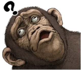 🐵 2002f58e monyet, tanda tanya, binatang, kera, kebingungan, berpikir whatsapp sticker