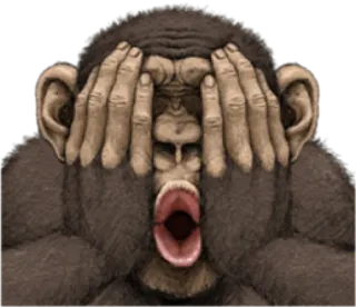 🙈 2389e093 monyet, kera, terkejut, kaget, hewan, takut, mata, tangan whatsapp sticker