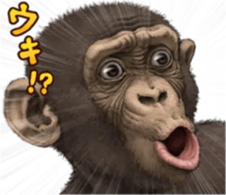 🐵 2850b47a ウキャ!? monyet, binatang, kera, lucu, kartun, terkejut, heran whatsapp sticker