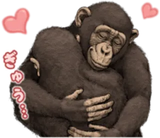 🐵 3e200262 ぎゅう… simpanse, monyet, cinta, kasih sayang, pelukan, hewan whatsapp sticker