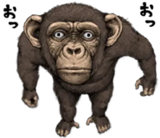 🐵 4ee0a10e おっ monyet, simpanse, kera, binatang, halo, salam whatsapp sticker