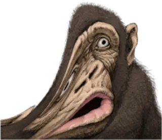 🐵 5248820e kera, monster, aneh, makhluk, jelek whatsapp sticker