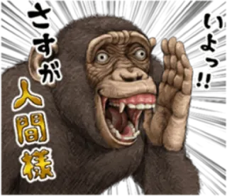 🐵 59a2ab2e さすが人間様
いよっ！！ monyet, binatang, salam, lucu, kartun whatsapp sticker