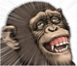 🐵 5c4bab5c monyet, kera, binatang, lucu, kartun, meme whatsapp sticker