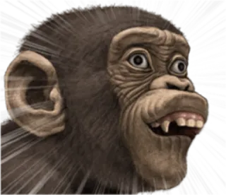 🐵 5ca19b44 monyet, primata, hewan, lucu, meme, kera whatsapp sticker