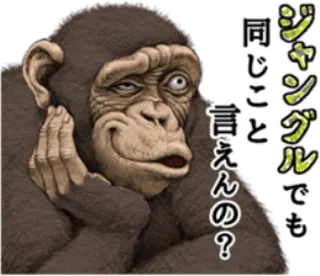 🐵 77e6f90c ジャングルでも
同じこと
言えんの? monyet, simpanse, binatang, hutan, jepang, pertanyaan whatsapp sticker