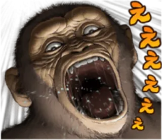 🐵 8f4ecef6 ええ kera, teriakan, gorila, monyet whatsapp sticker
