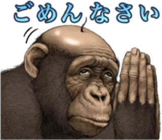 🐵 9547a0f2 ごめんなさい maaf, permintaan maaf, simpanse, monyet, binatang, menyesal whatsapp sticker