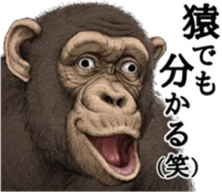 🐵 a136f7ec 猿でも分かる(笑) monyet, mudah dimengerti, lelucon, meme, binatang whatsapp sticker