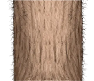 🐵 d8e13cab whatsapp sticker