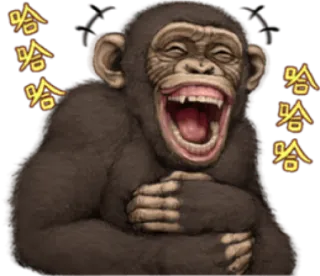 🐵 dbe7d1cb 哈哈哈 monyet, tertawa, haha, senang, binatang whatsapp sticker