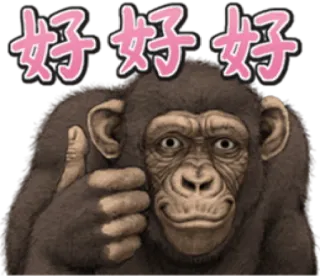 🐵 dda352cc 好好好 monyet, simpanse, hewan, baik, oke, setuju whatsapp sticker
