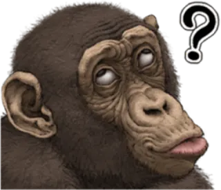 🐵 ee666ff2 monyet, tanda tanya, hewan, bingung, berpikir whatsapp sticker