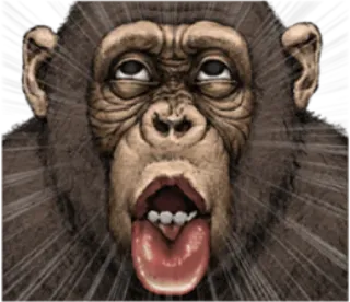 🐵 fe05682a monyet, hewan, lucu, kera, meme, kartun whatsapp sticker