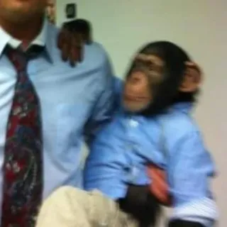 monke telegram stickers