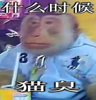 monke telegram stickers