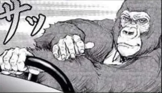 🚗 bba1b0d3 gorille, conduite, manga, animal, voiture telegram sticker