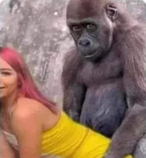 😏 fa98c390 gorille, femme, animal, zoo, drôle telegram sticker