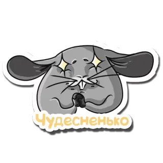 Шиншилла Соня telegram stickers