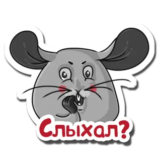 😲 8793af4c СЛЫХАЛ? Maus, Tier, Cartoon, Text, Russisch, Sticker telegram sticker