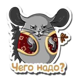 🤠 a34a5027 Чего надо? Chinchilla, niedlich, russisch, Aufkleber telegram sticker