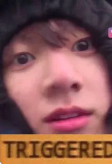 😦 3101193f TRIGGERED 表情包, 触发, 反应, 搞笑 telegram sticker