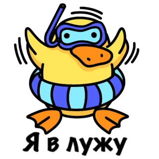 👀 21181465 Я в лужу Ente, Schwimmen, Cartoon, Pool, Schwimmring, süß, lustig telegram sticker