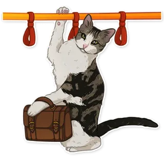 🥲 57850aa2 kat, dier, koffer, zaken, kantoor, hangend, woon-werkverkeer telegram sticker