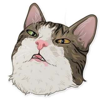 🥴 cb7dcad2 kat, grappig, meme, dier, huisdier, dom telegram sticker