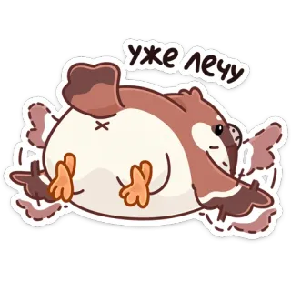 🏃‍♂️ 04460d35 уже лечу 鸟, 飞行, 可爱, 动物, 麻雀, 俄语, 文字 whatsapp sticker