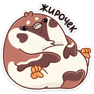☺️ 0cf61fca Жирочек 动物, 可爱, 搞笑, 贴纸, 卡通, 仓鼠 whatsapp sticker