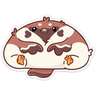 😊 158a5e02 鸟, 动物, 可爱, 卡哇伊, 圆润, 毛茸茸, 卡通, 贴纸 whatsapp sticker
