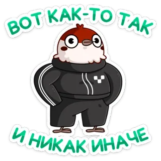 💪 b08915af ВОТ КАК-ТО ТАК 
И НИКАК ИНАЧЕ 鸟, 卡通, 夹克, 搞笑, 可爱 whatsapp sticker