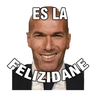 🙃 03c9345f Zinedine Zidane ES LA FELIZIDANE bóng đá, bóng đá, thể thao, Zidane, huấn luyện viên, Real Madrid telegram sticker